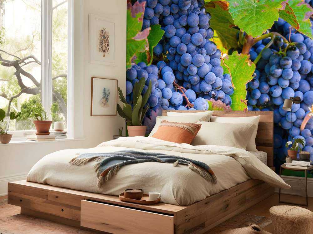 Raisins de cuve