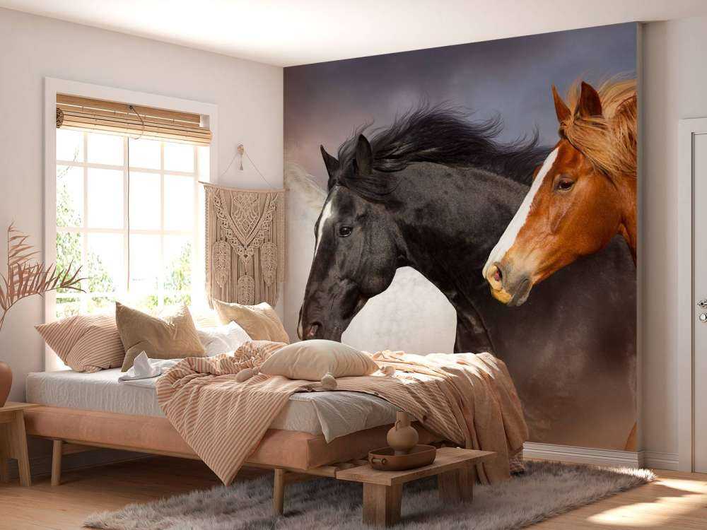Troupeau de chevaux