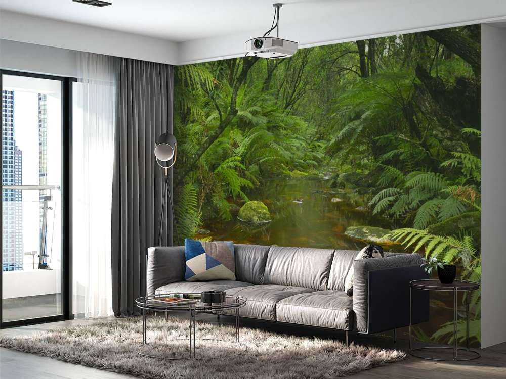 Rivière dans la forêt tropicale