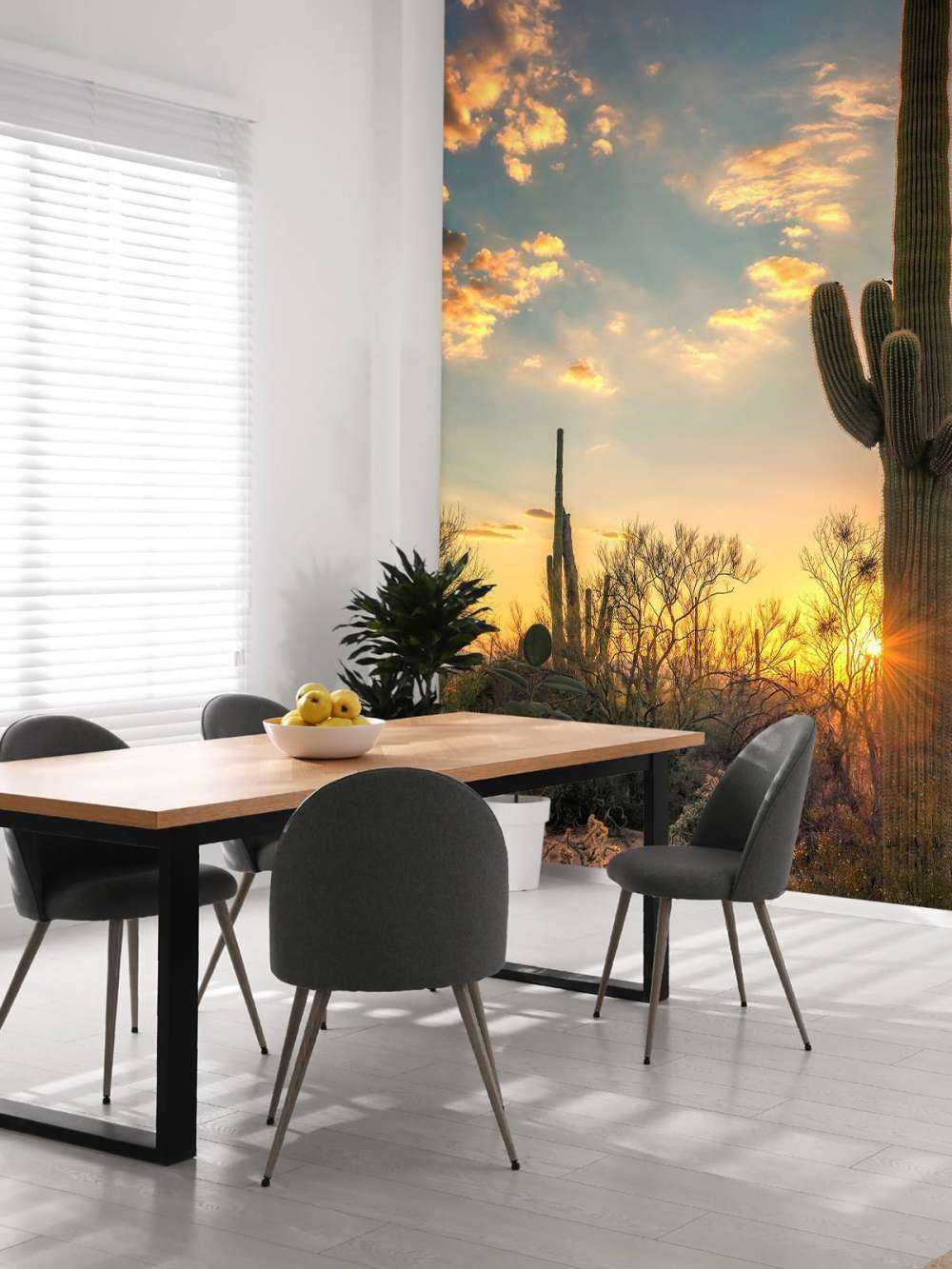 Cactus au coucher du soleil