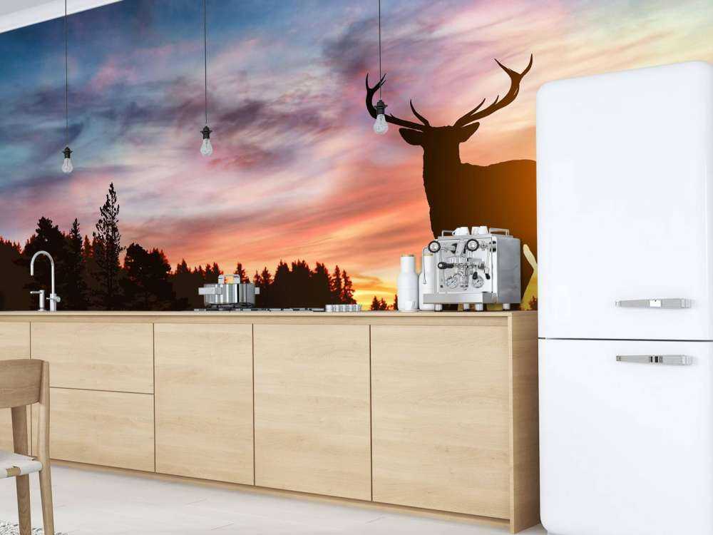 Cerf pendant le coucher du soleil