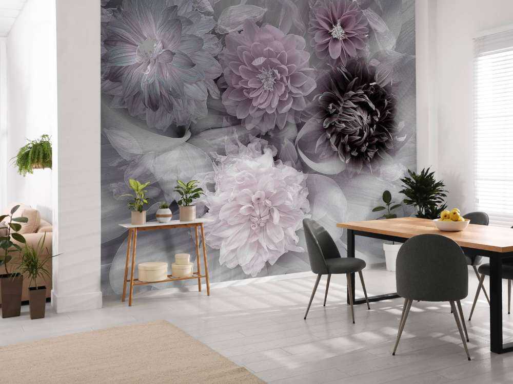 Dahlia dream