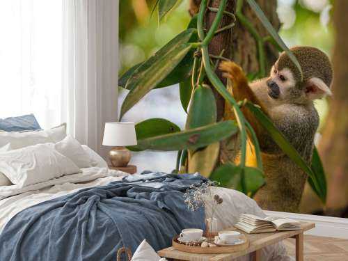 Petit singe dans les arbres