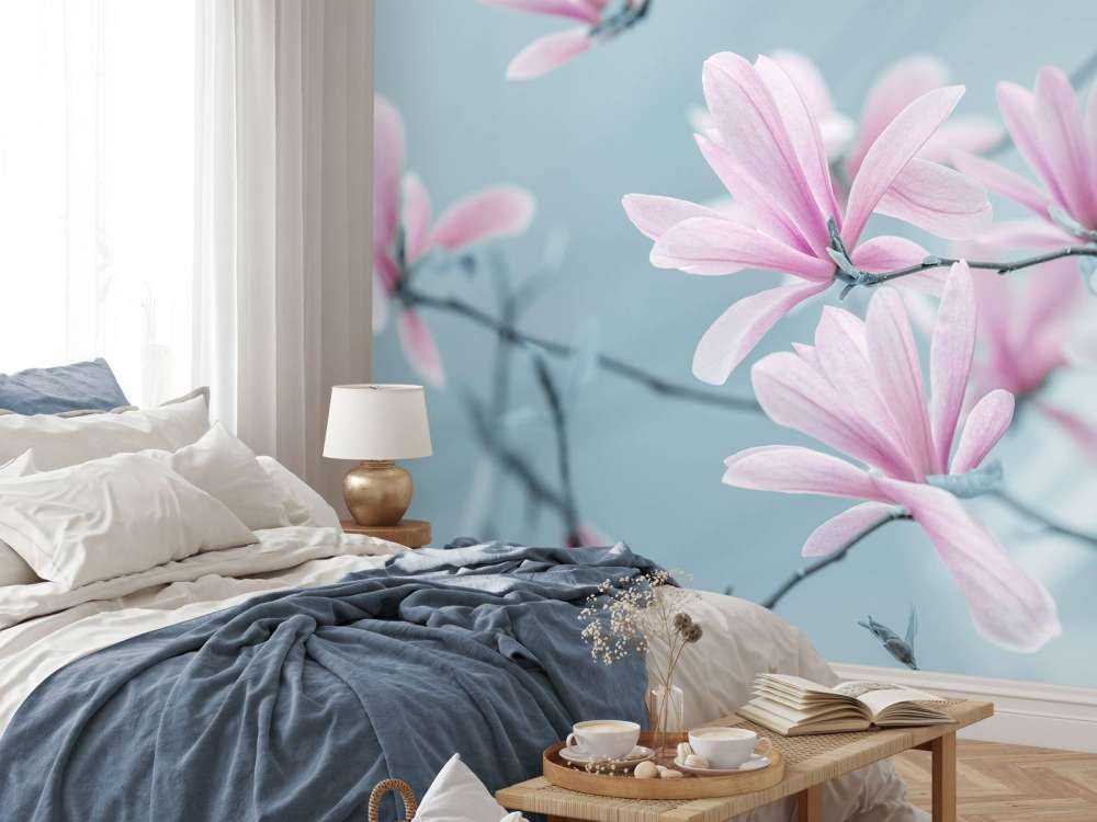 Fleurs de magnolia
