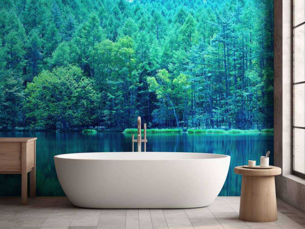 Lac dans une forêt verte