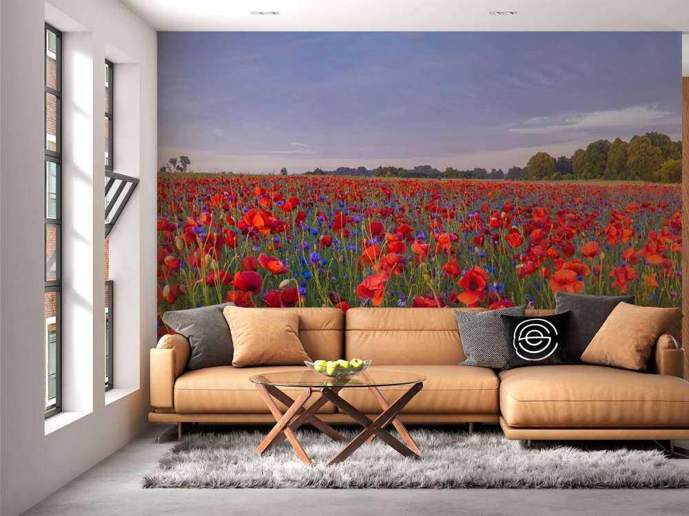 Fleurs bleues et coquelicots rouges