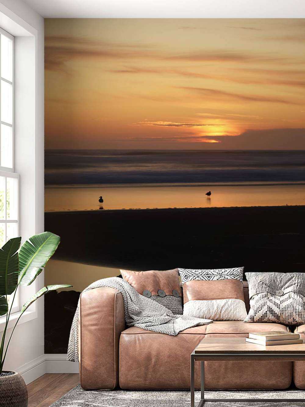 Oiseaux au coucher du soleil