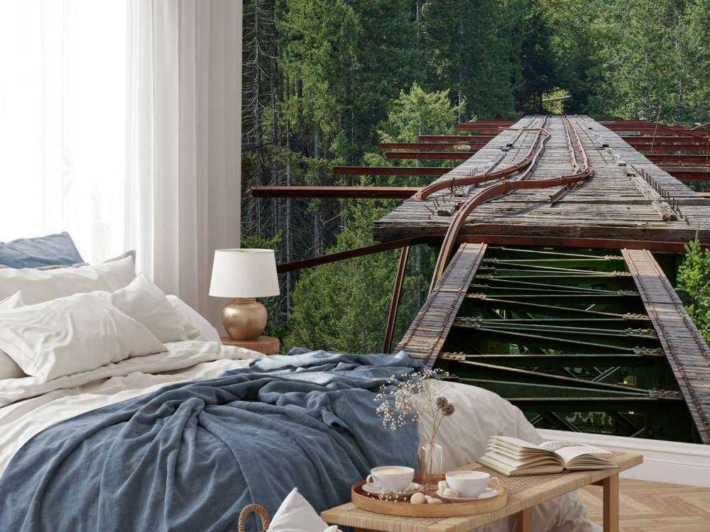 Vieux pont ferroviaire