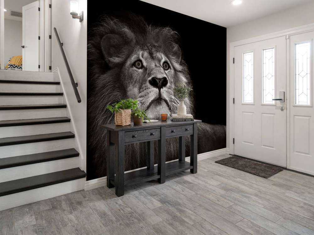 Lion sur fond noir