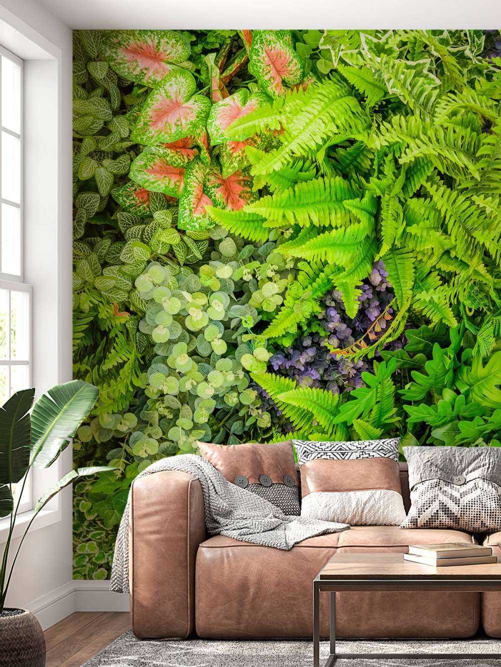 Mélange de plantes