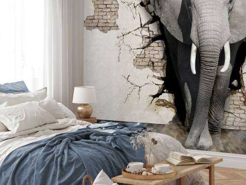 L'éléphant en 3D depuis le mur