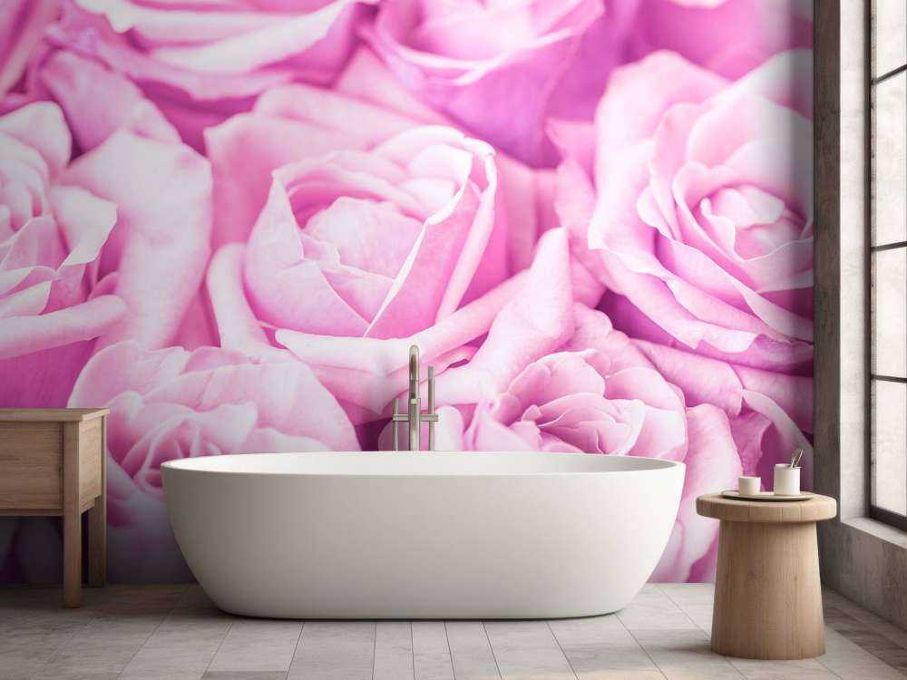 Plusieurs roses roses