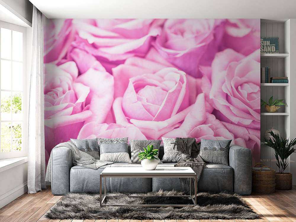 Plusieurs roses roses