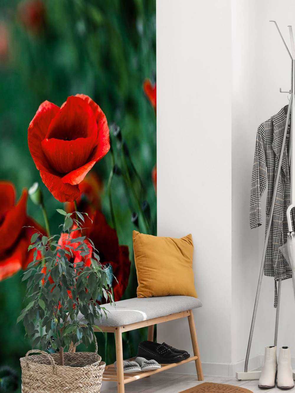 Coquelicots et herbe