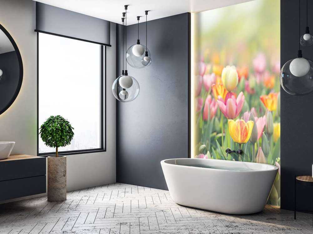 Des tulipes colorées