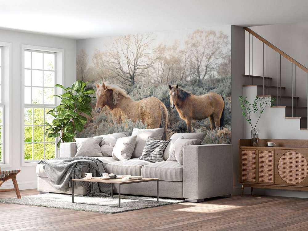 Chevaux sauvages