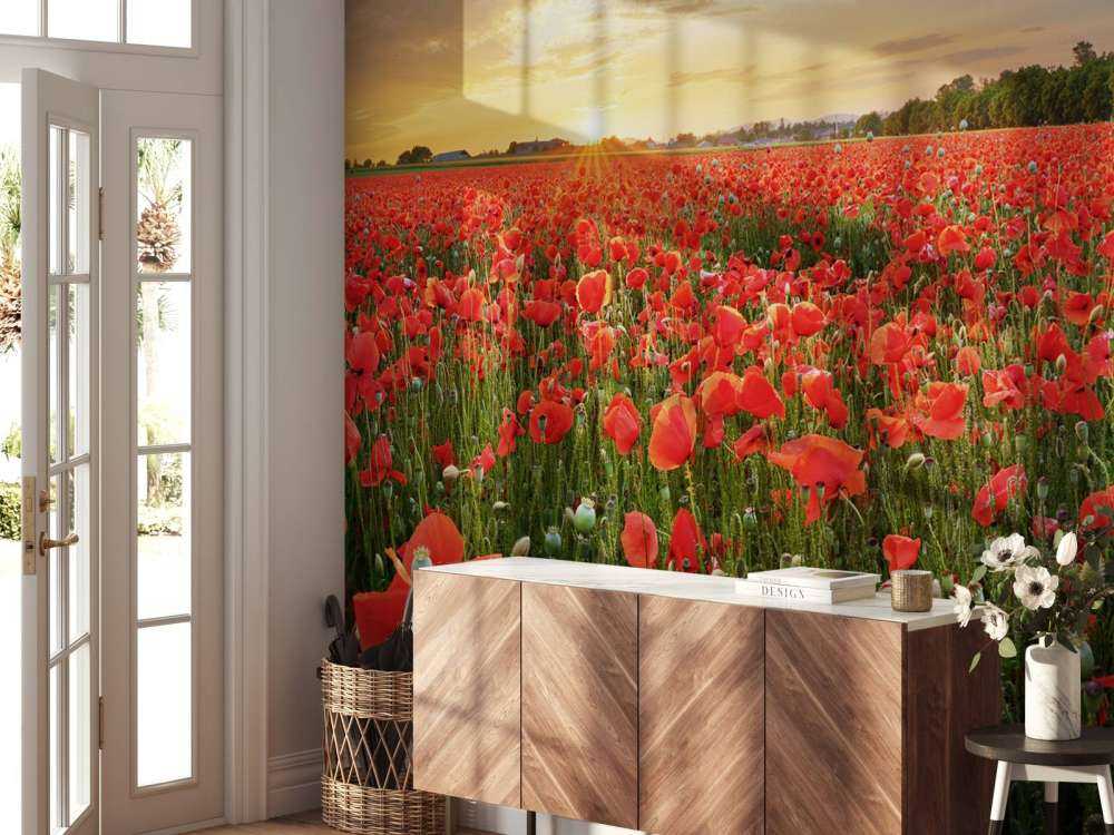 Coucher de soleil avec des coquelicots
