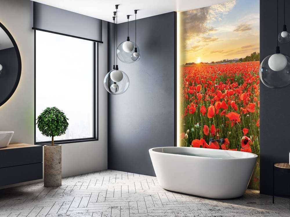 Coucher de soleil avec des coquelicots