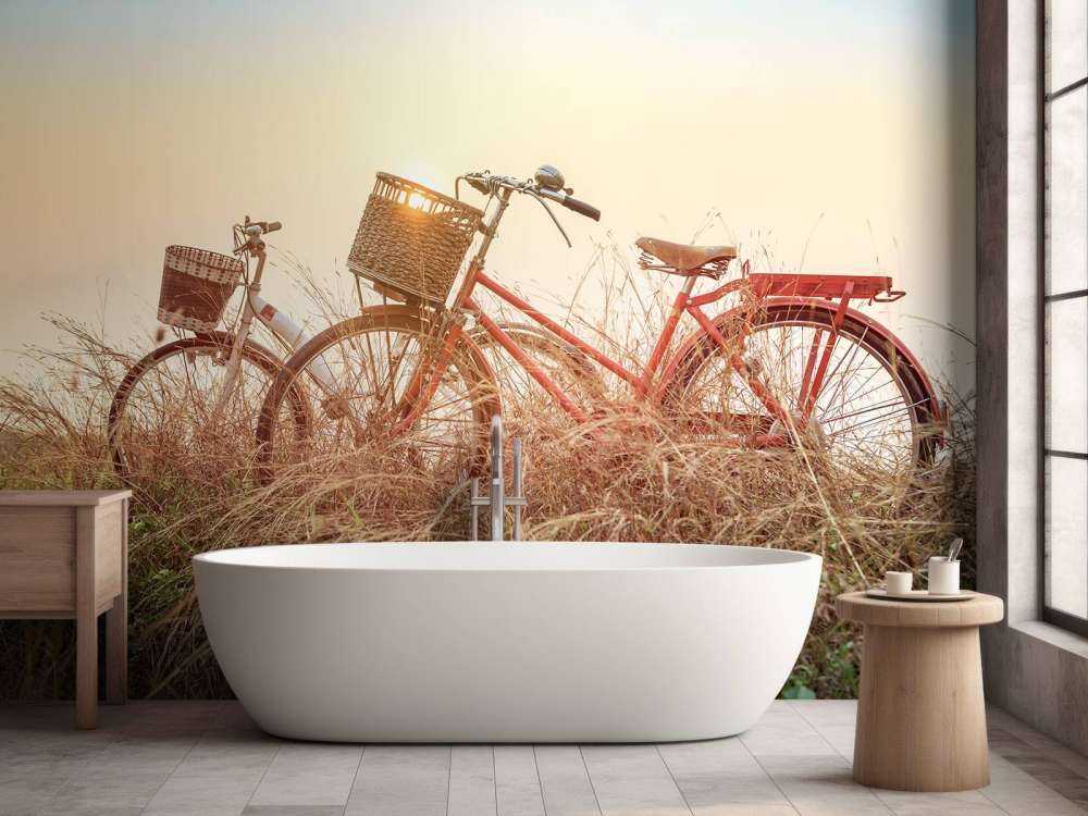 Vélos vintage