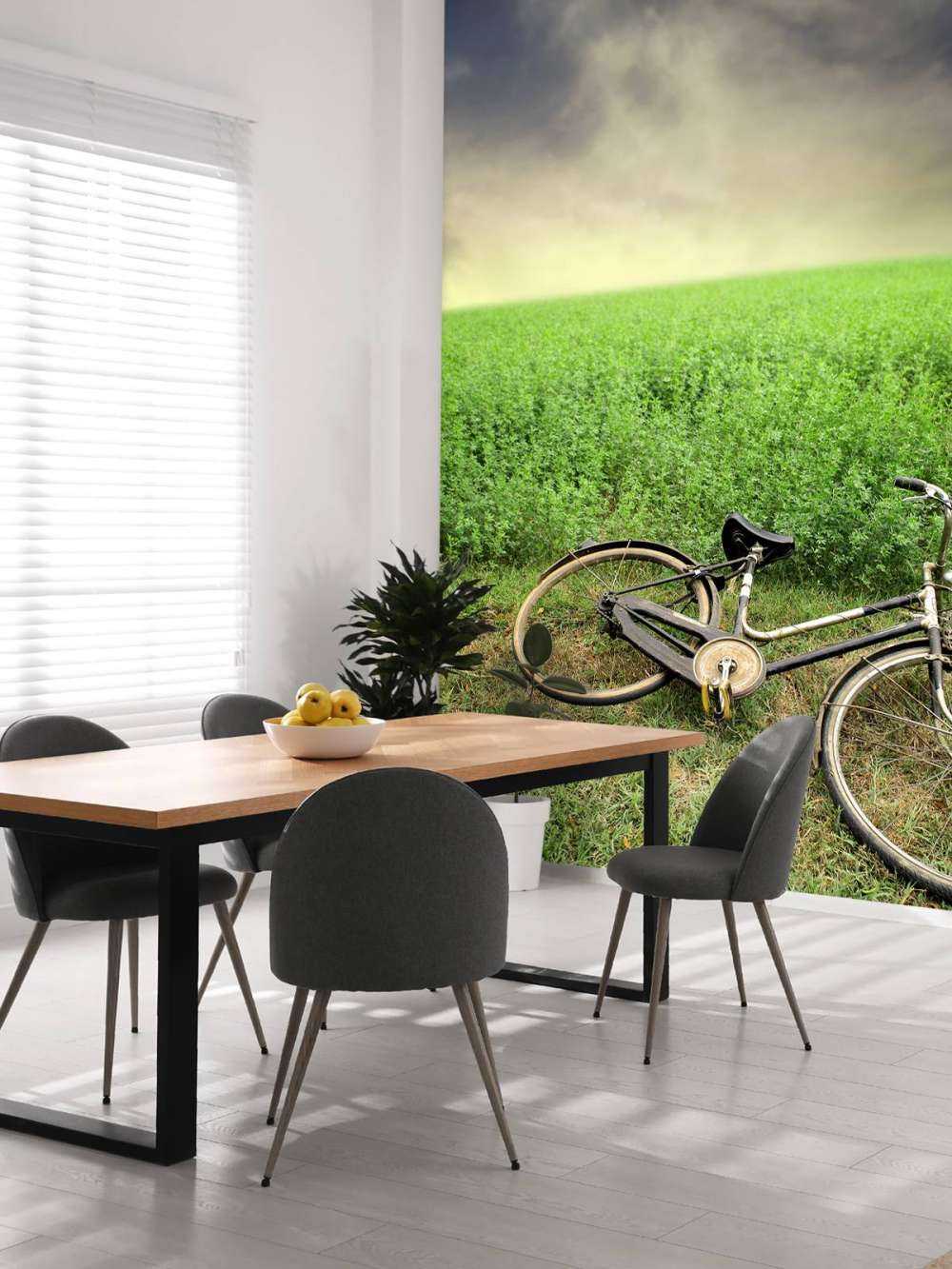 Vieux vélo