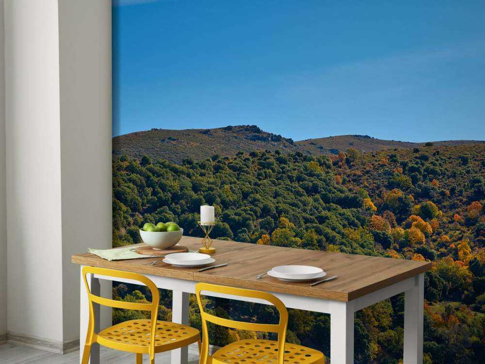 L'automne dans les montagnes