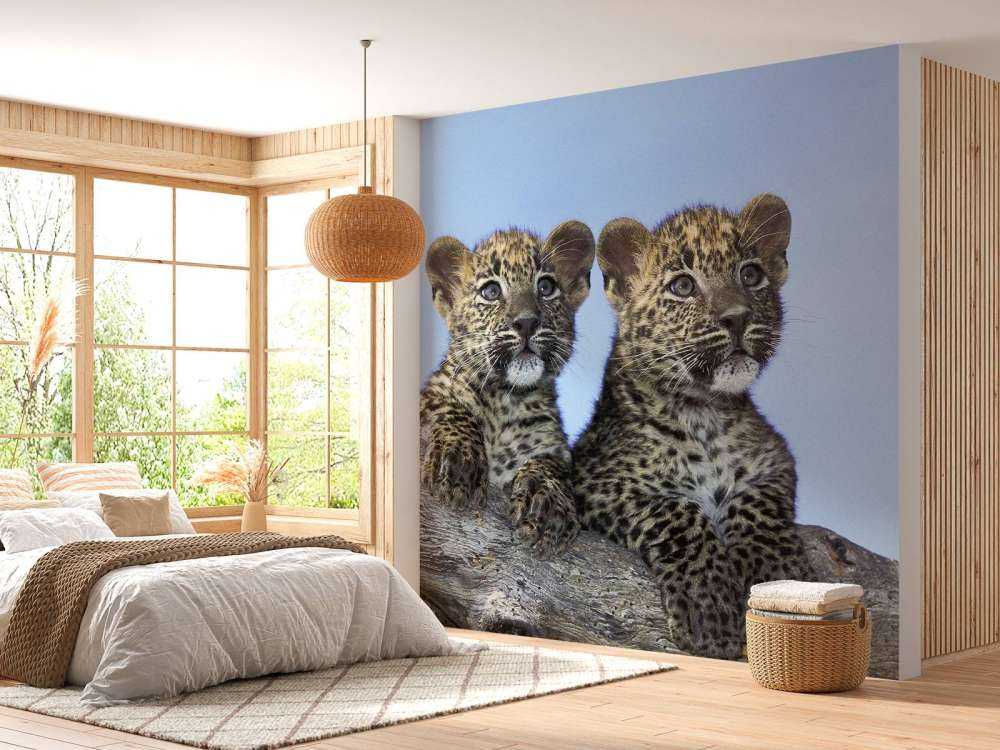 Bébés léopards