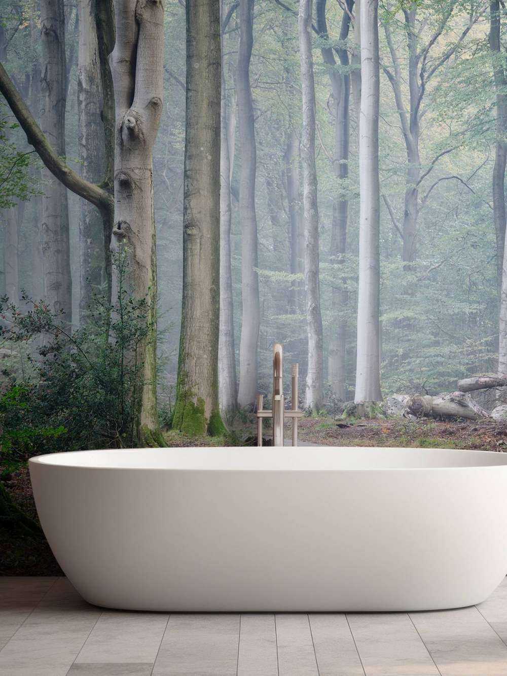 Chemin à travers la forêt