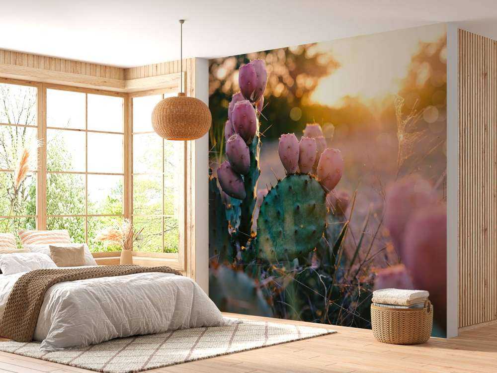 Cactus à fleurs