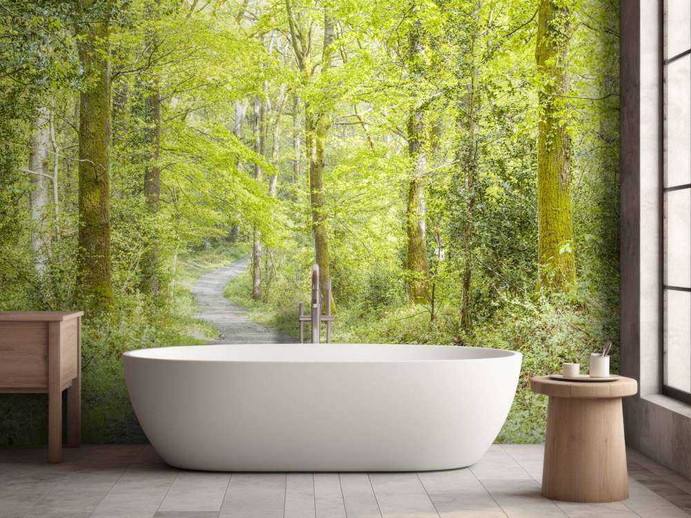 la forêt verte