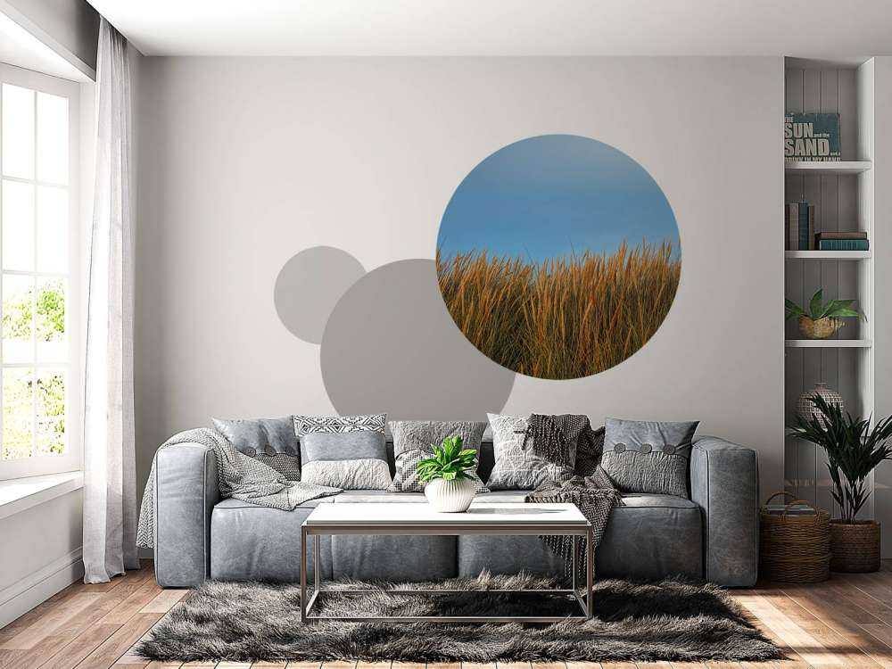 Herbe des dunes