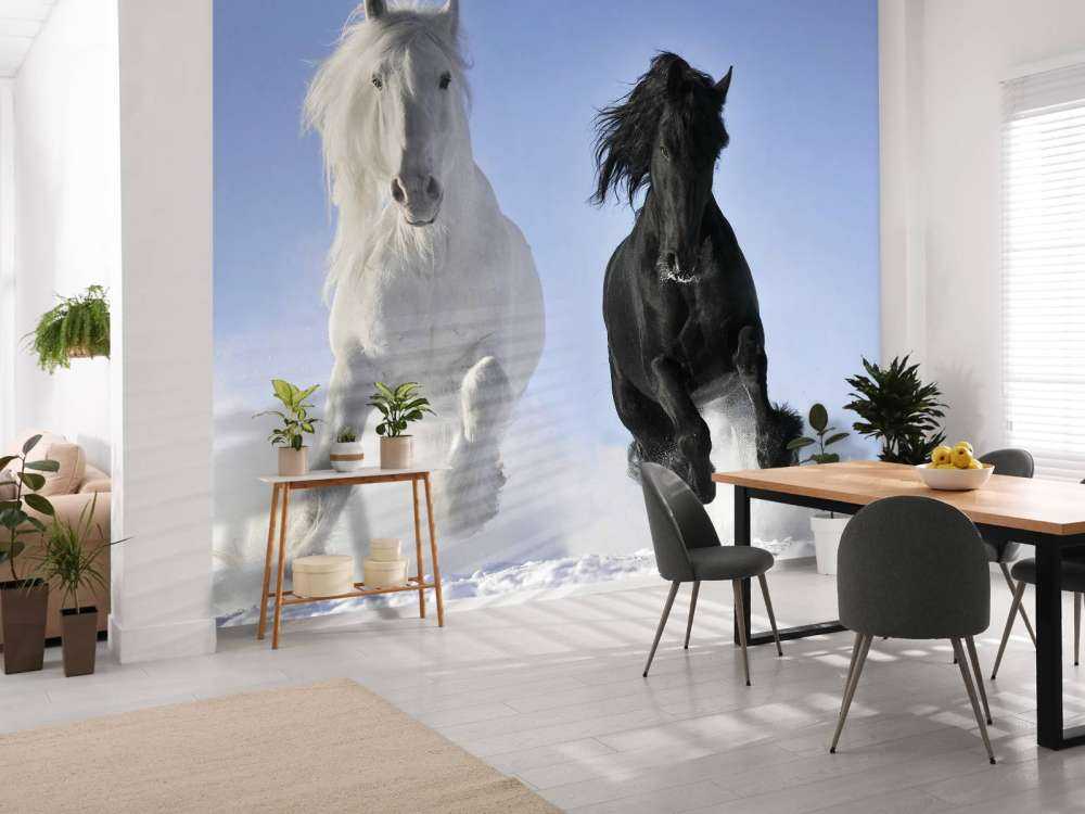 Cheval blanc et noir