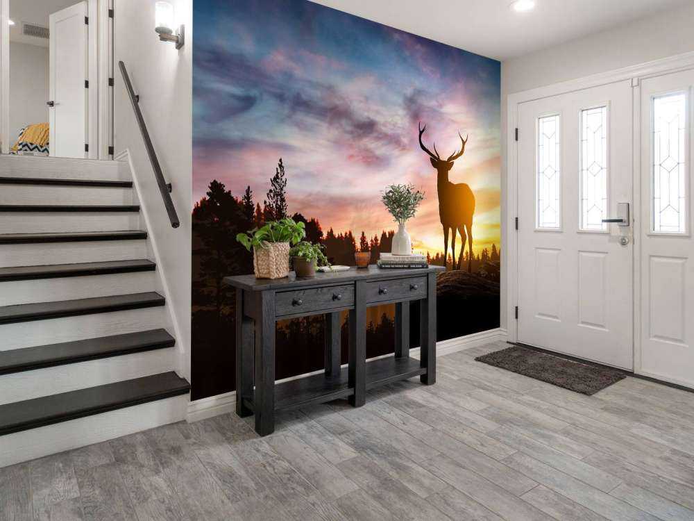 Cerf pendant le coucher du soleil