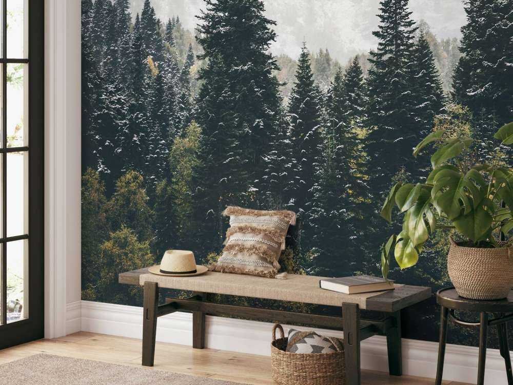 Forêt de conifères