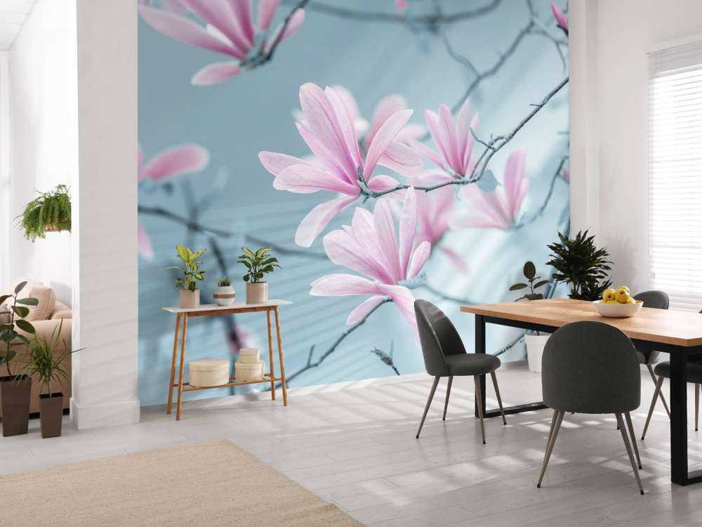 Fleurs de magnolia