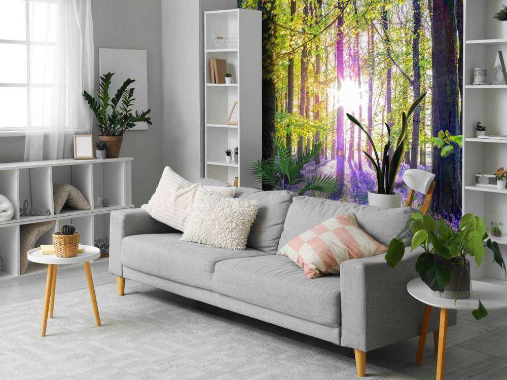 Forêt colorée