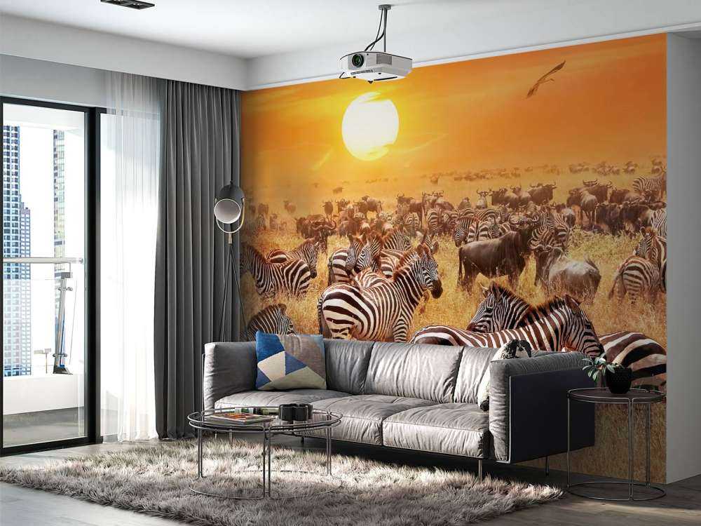 Soleil de la savane avec des zèbres