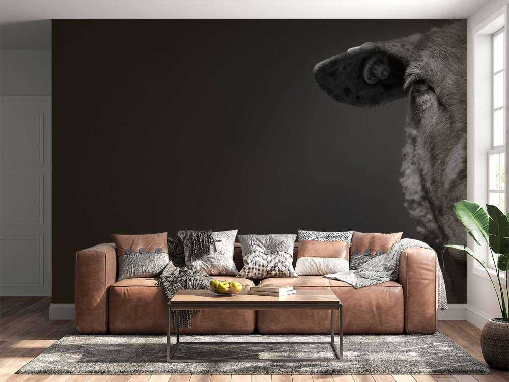Gros plan sur un mouton noir et blanc