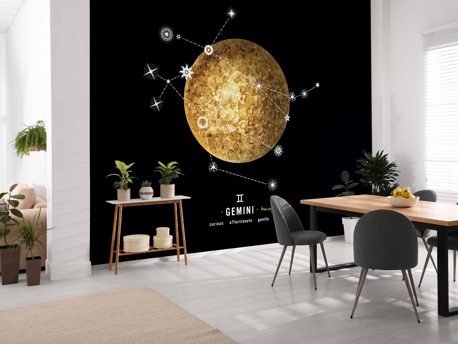 Planète Constellation Gémeaux