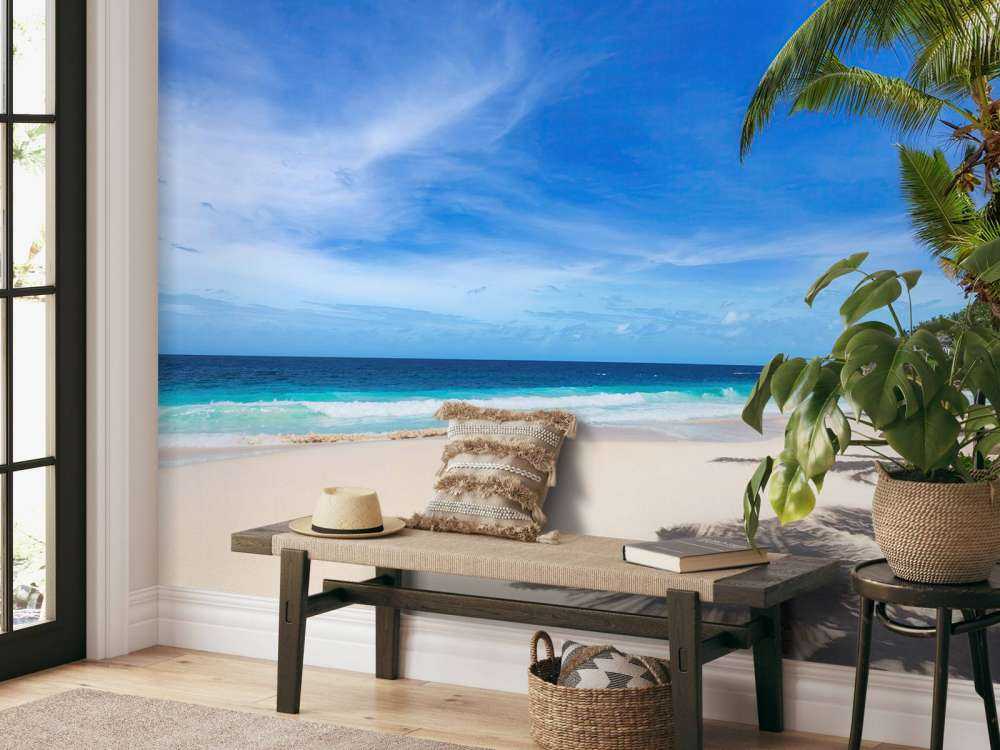 Plage tropicale avec palmier