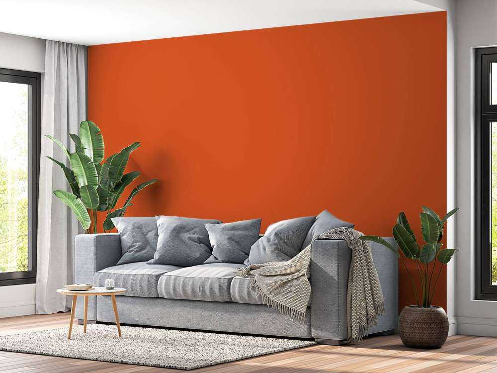 Orange citrouille