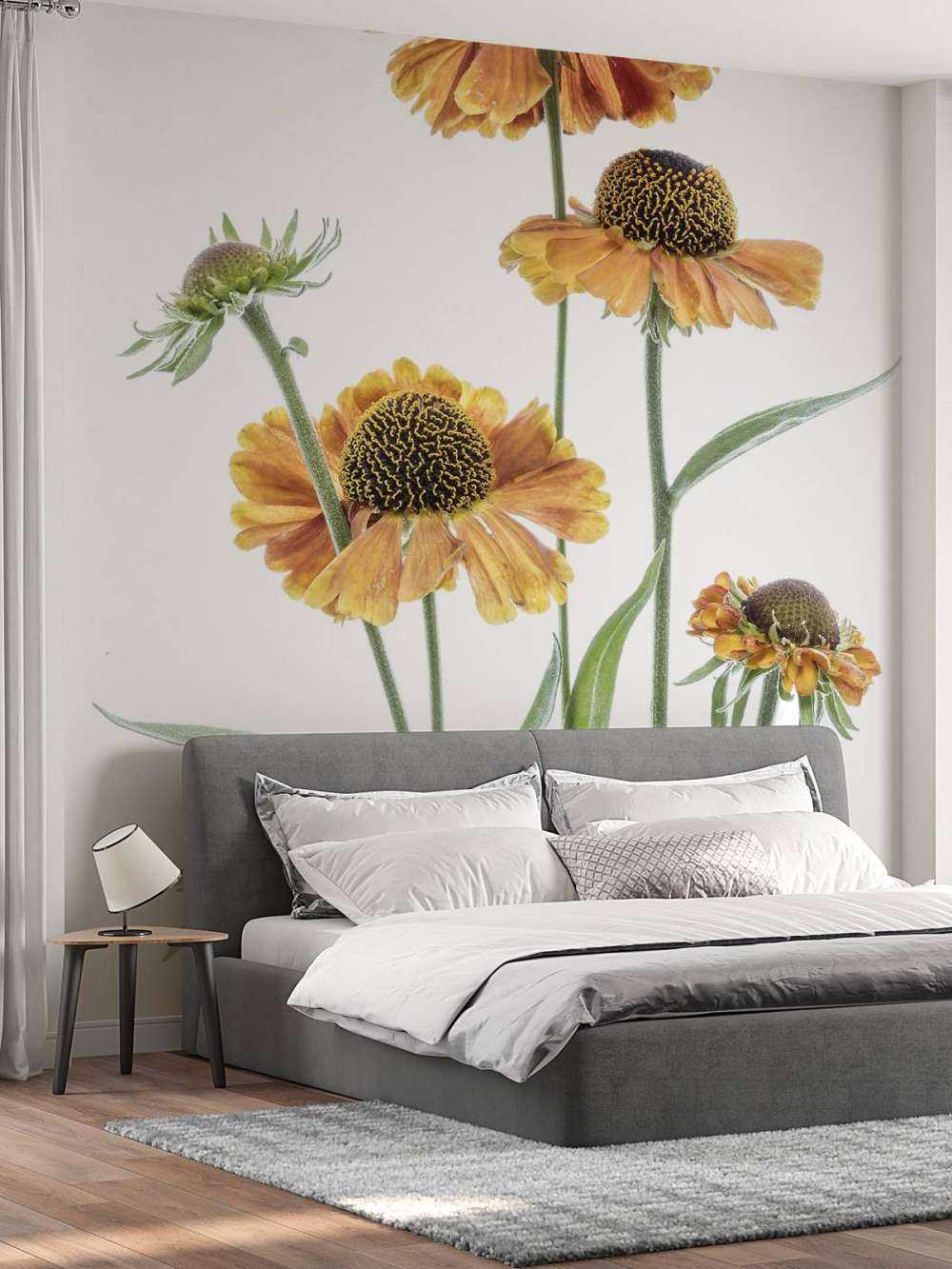 Helenium jaune