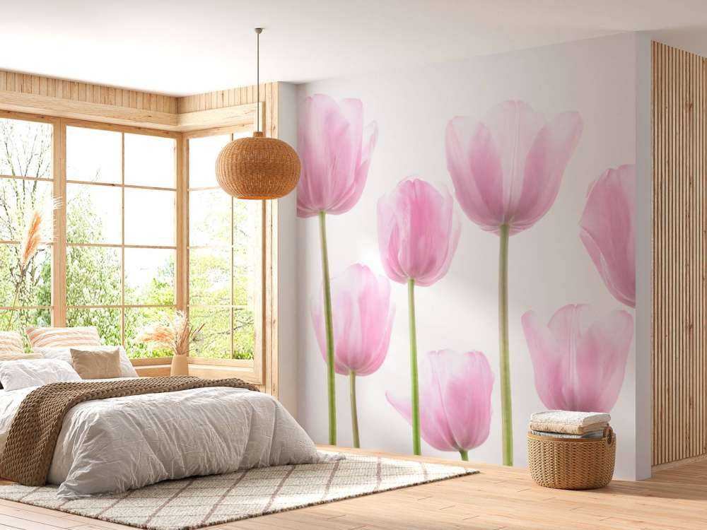 Tulipes roses