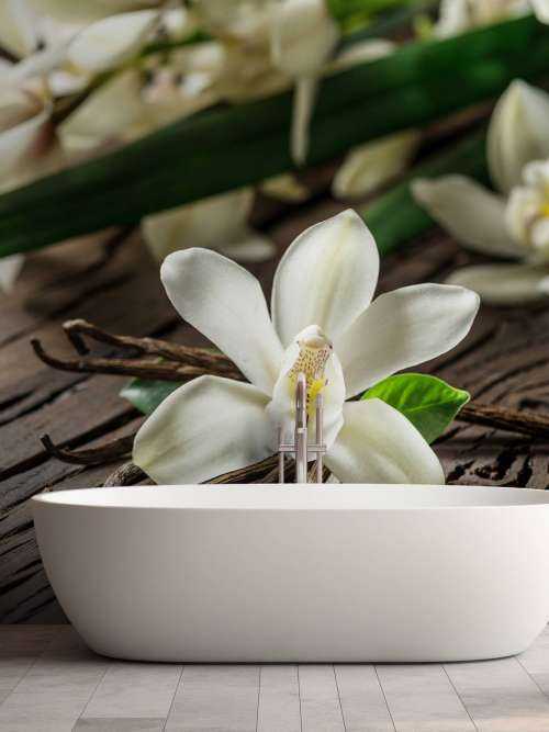 Gousses de vanille et fleurs