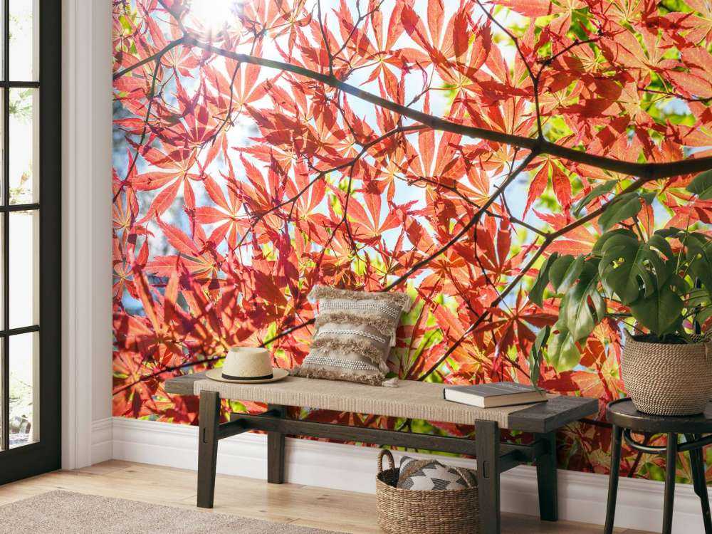 Feuilles rouges d'automne
