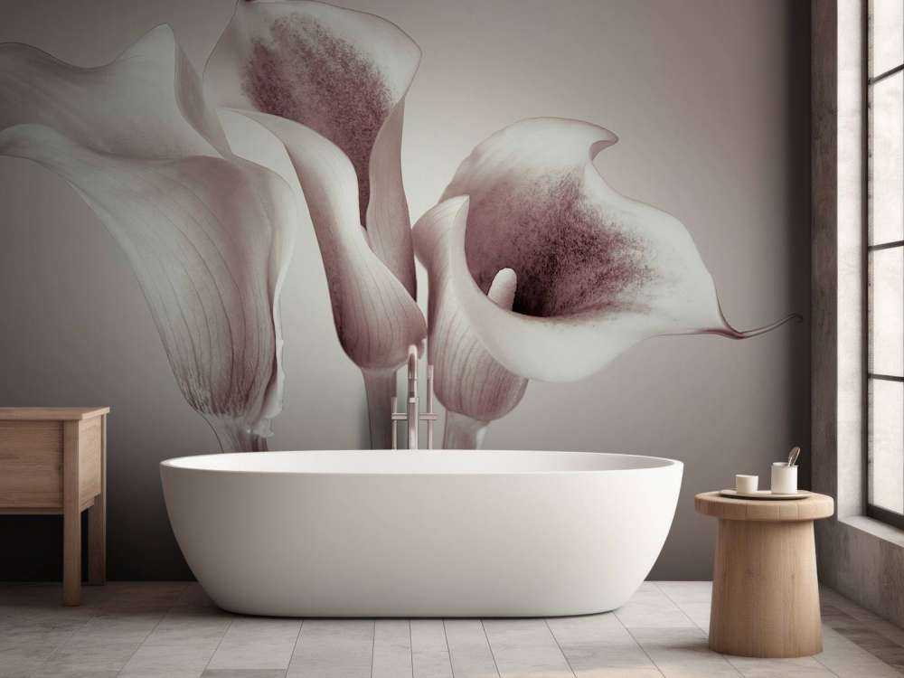 Lis Calla