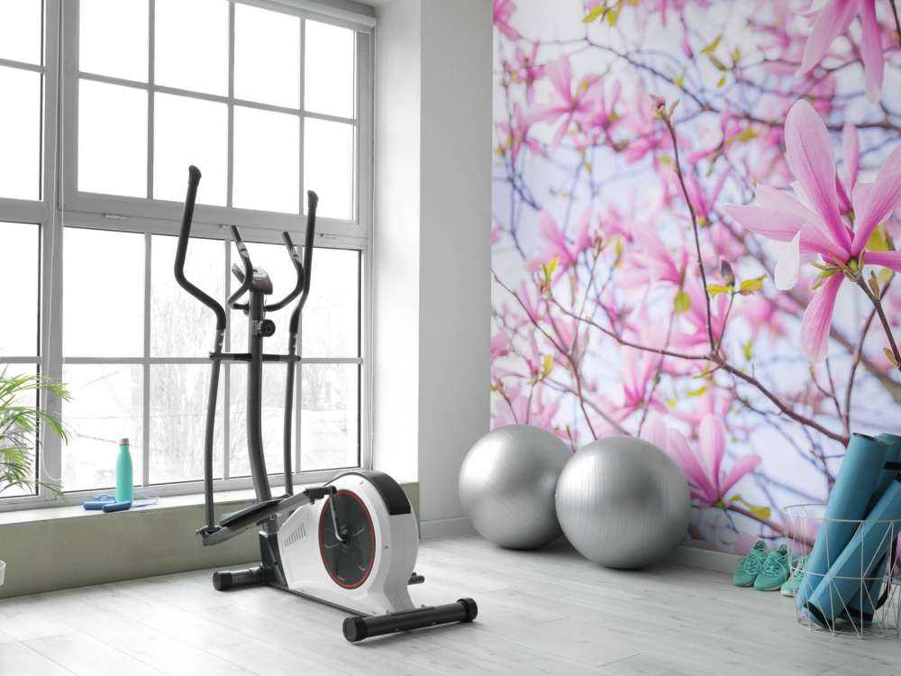 Magnolia