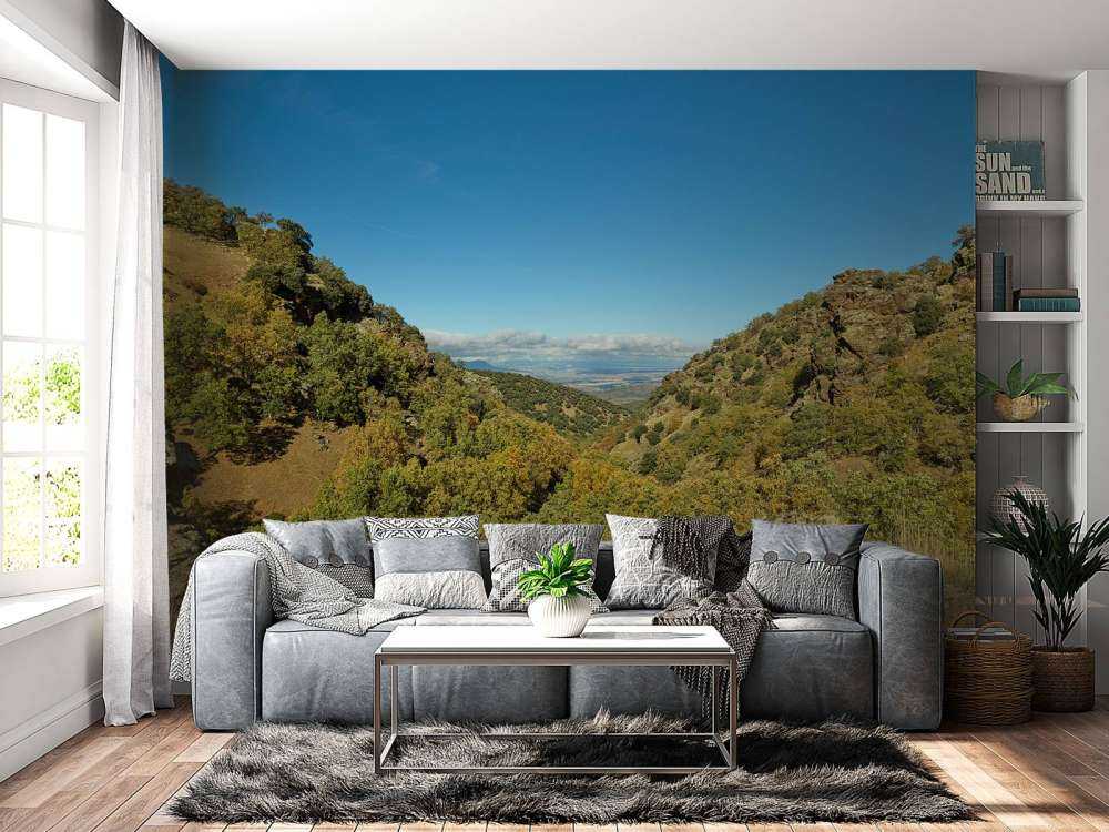 Regarder à travers le paysage de montagne