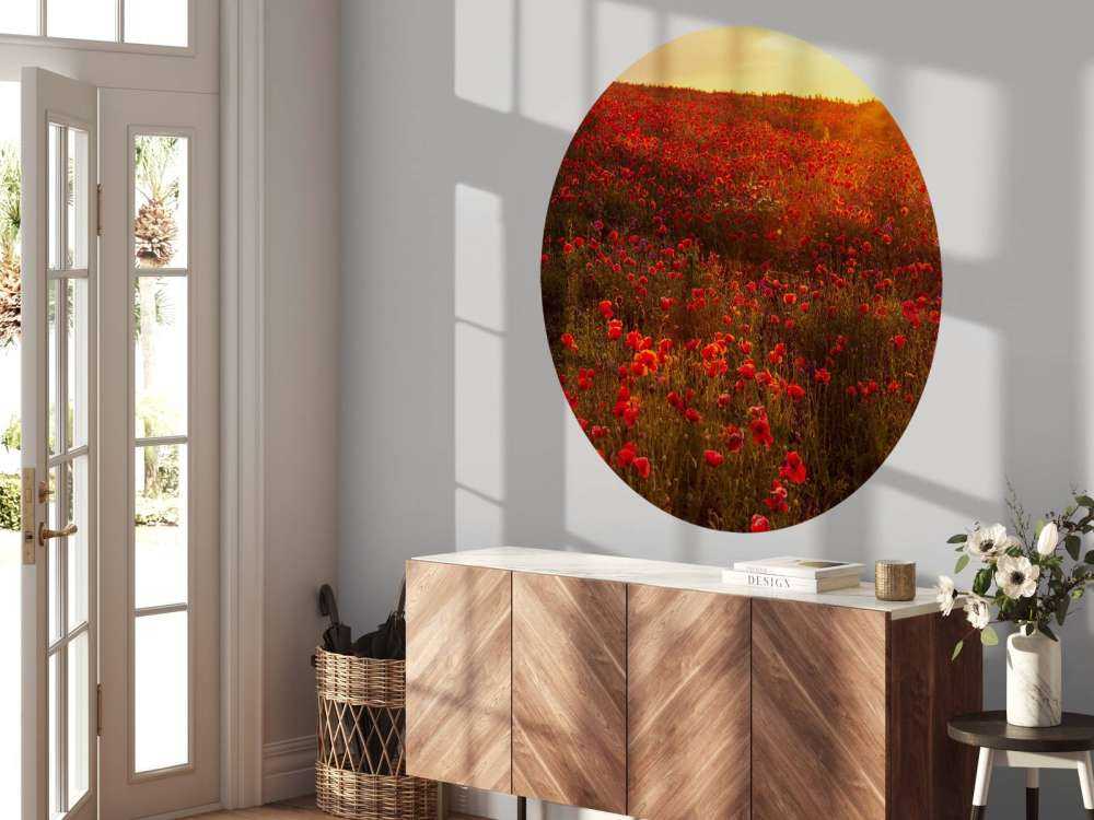 Des coquelicots sur une colline