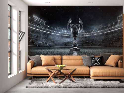 Coupe dans un stade