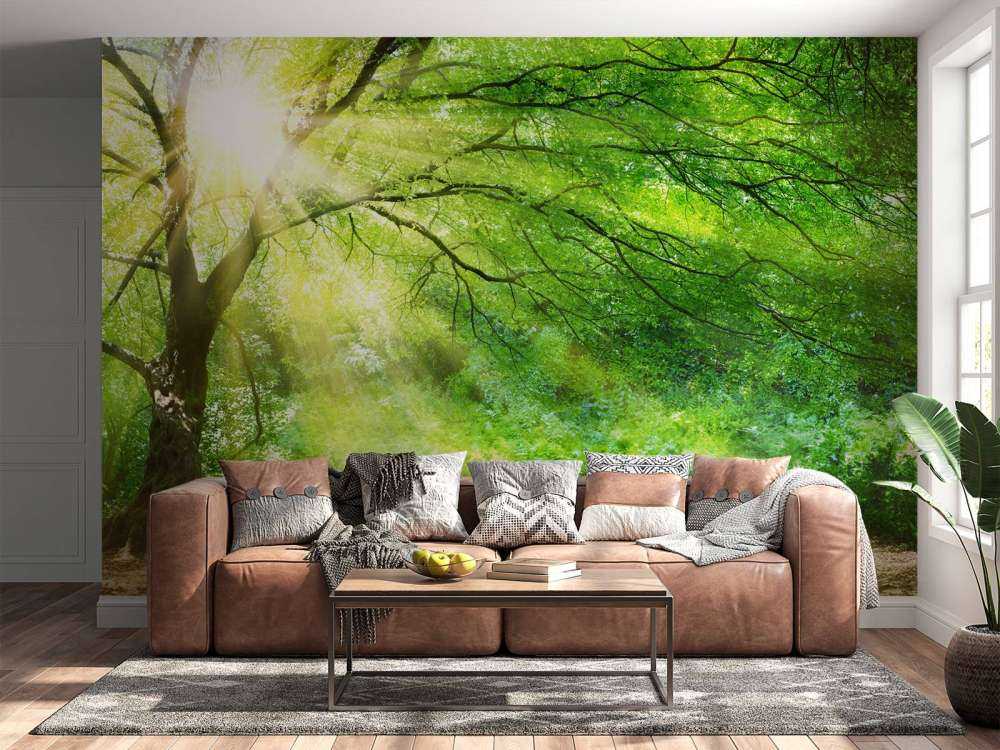 Grand arbre avec soleil